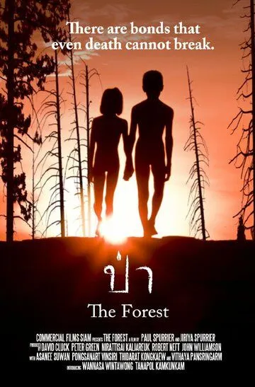 Лес (2016) смотреть онлайн бесплатно фильм в хорошем качестве