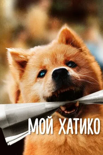 Мой Хатико (2023) смотреть онлайн бесплатно фильм в хорошем качестве