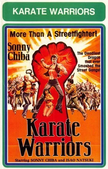 Воины карате (1976) смотреть онлайн бесплатно фильм в хорошем качестве
