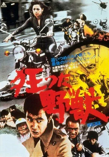 Безумный зверь (1976) смотреть онлайн бесплатно фильм в хорошем качестве