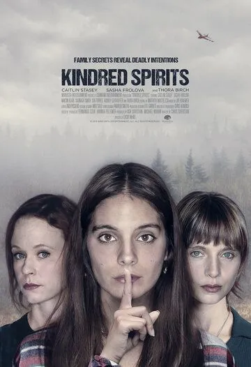 Родственные духи (2019) смотреть онлайн бесплатно фильм в хорошем качестве