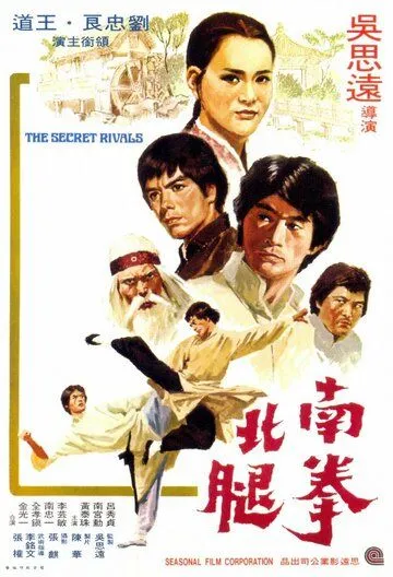 Тайные соперники (1976) смотреть онлайн бесплатно фильм в хорошем качестве