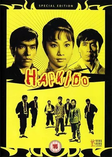 Леди кунг-фу (1972) смотреть онлайн бесплатно фильм в хорошем качестве